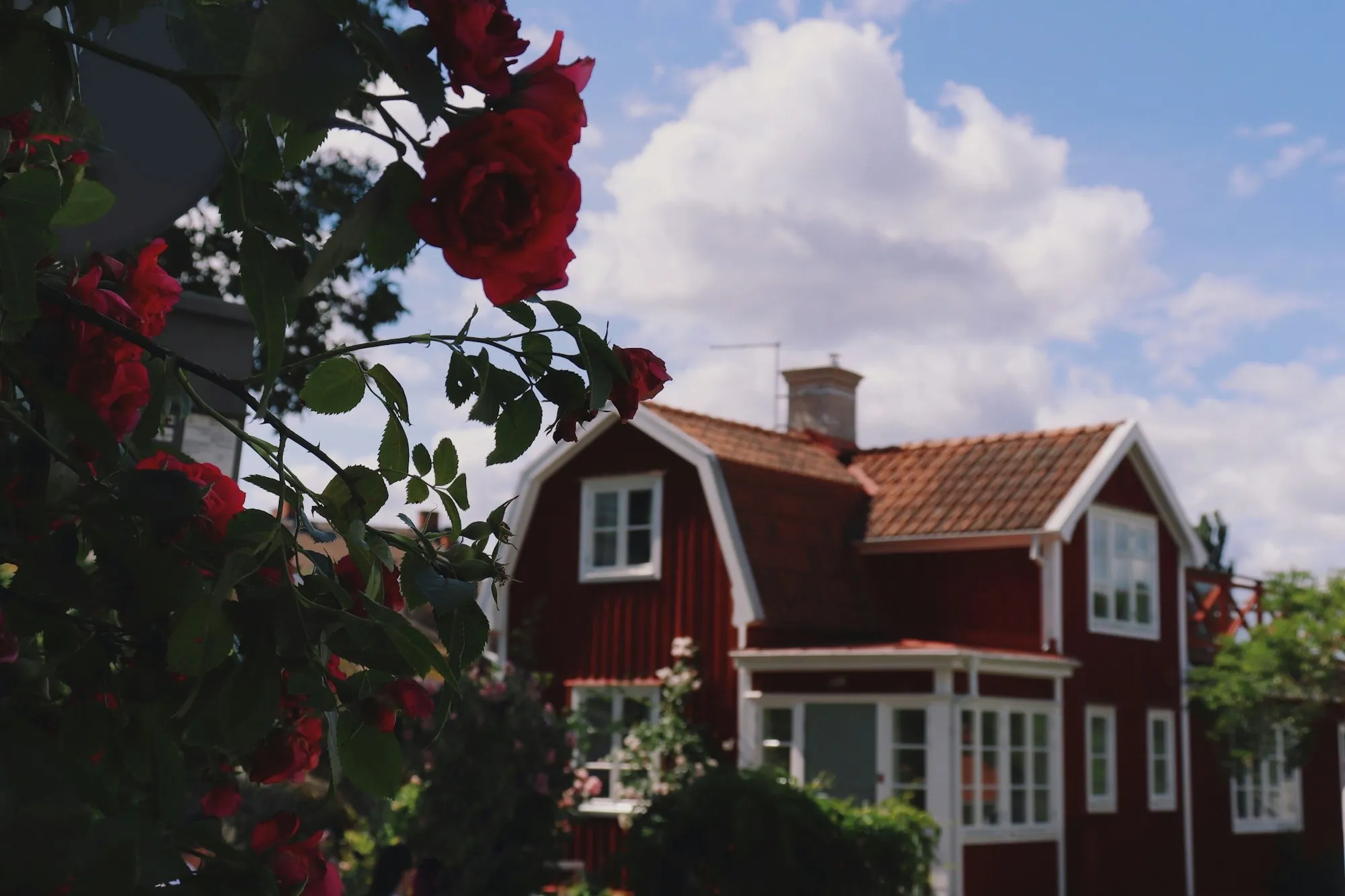 瑞典 Vaxholm 紅色傳統小屋